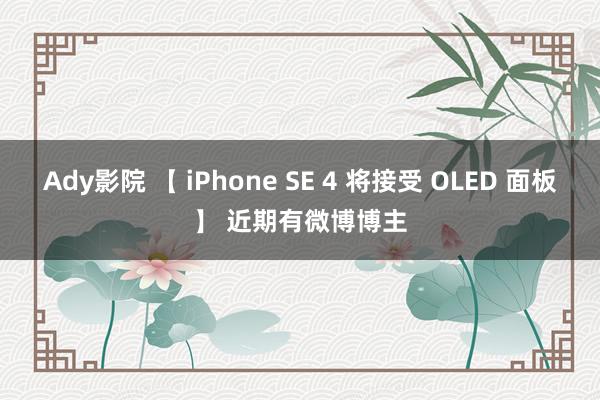 Ady影院 【 iPhone SE 4 将接受 OLED 面板】 近期有微博博主