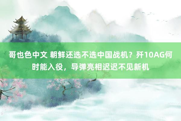 哥也色中文 朝鲜还选不选中国战机？歼10AG何时能入役，导弹亮相迟迟不见新机