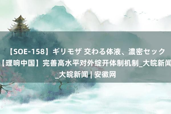 【SOE-158】ギリモザ 交わる体液、濃密セックス Ami 【理响中国】完善高水平对外绽开体制机制_大皖新闻 | 安徽网