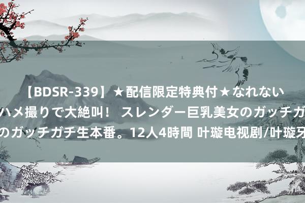 【BDSR-339】★配信限定特典付★なれない感じの新人ちゃんが初ハメ撮りで大絶叫！ スレンダー巨乳美女のガッチガチ生本番。12人4時間 叶璇电视剧/叶璇牙东说念主公司