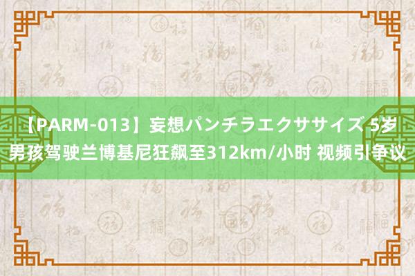 【PARM-013】妄想パンチラエクササイズ 5岁男孩驾驶兰博基尼狂飙至312km/小时 视频引争议