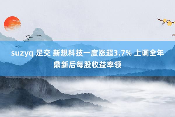 suzyq 足交 新想科技一度涨超3.7% 上调全年鼎新后每股收益率领