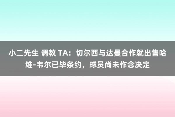 小二先生 调教 TA：切尔西与达曼合作就出售哈维-韦尔已毕条约，球员尚未作念决定