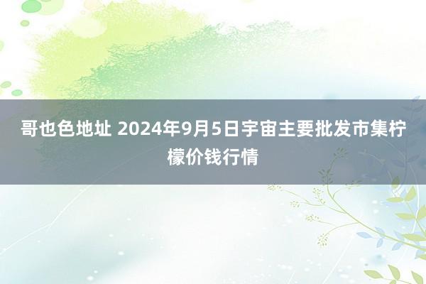 哥也色地址 2024年9月5日宇宙主要批发市集柠檬价钱行情