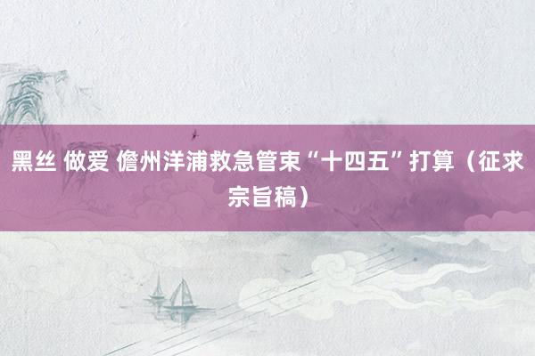 黑丝 做爱 儋州洋浦救急管束“十四五”打算（征求宗旨稿）