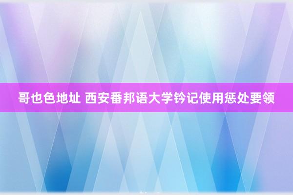 哥也色地址 西安番邦语大学钤记使用惩处要领