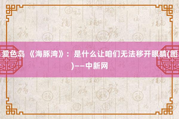 爱色岛 《海豚湾》：是什么让咱们无法移开眼睛(图)——中新网